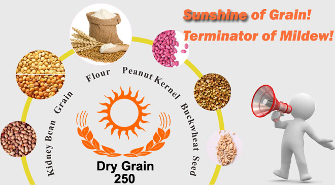 Dry Grain Container Desiccant Container Desiccant Dry Grain