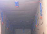 container desiccant strips